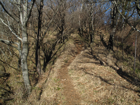 20171207hike (77)